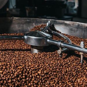 A compact dust capture project for a food ingredient transfer and packaging zone.